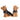 Yorkshire Terrier - salt & pebersæt set fra en anden vinkel