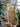 Citron kop set oppefra