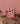 Holly osteknive i gaveæske stillet op mod en lyserød væg
