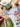 All Packed detalje 7