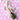 Champagne - prydnad