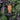 Christopher Walken – svart kostym