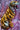 Tiger - porcelænsfigur 88 cm detalje nærbillede