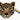 Leopardhuvudmatta