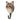Kattknopp