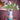 Fröken Jody Vase