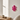 Pink blæksprutte - vægdekoration fra GiftCompany – ophængt på væggen som blikfang