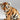 Tigerunge